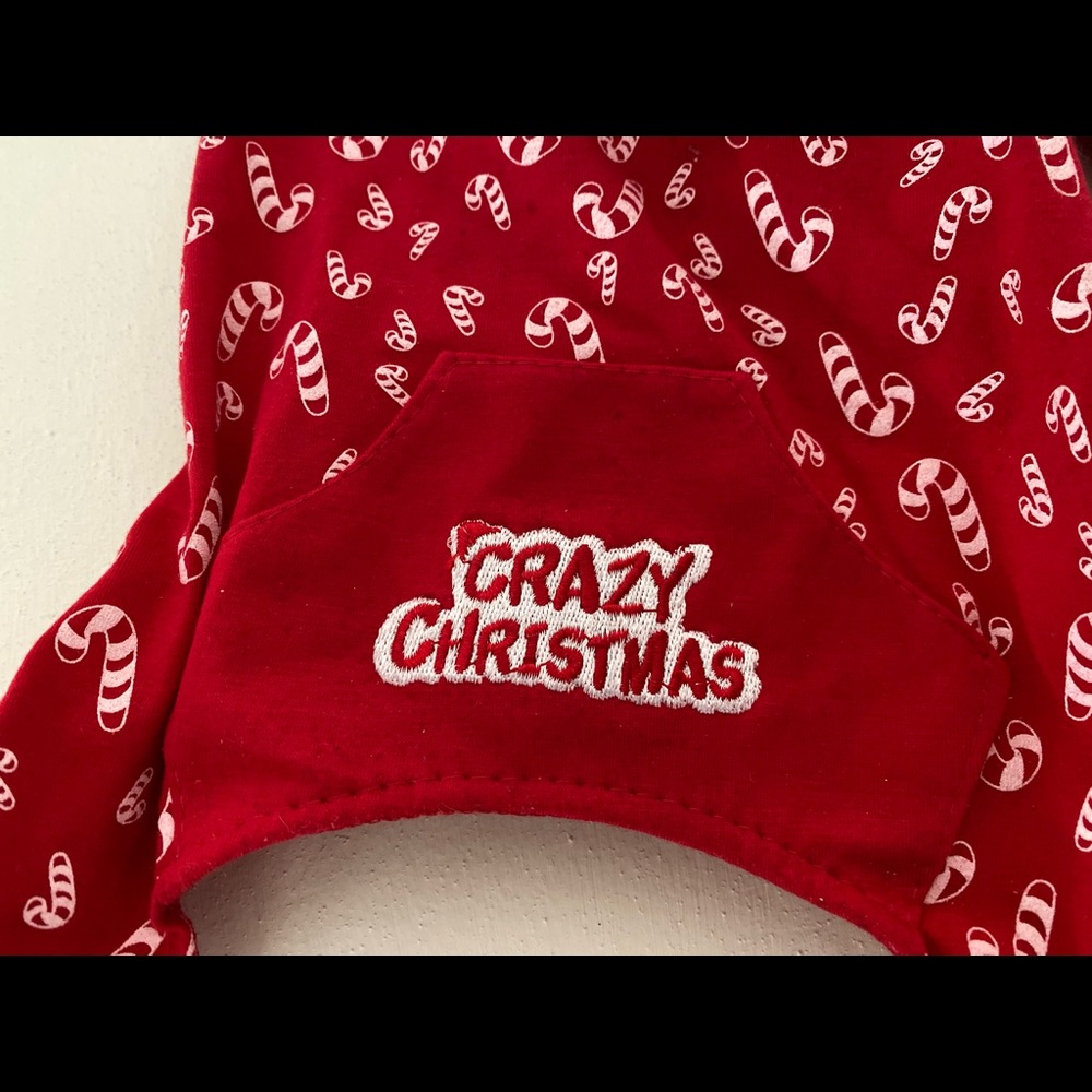 Pet Holiday outfit Set of 2